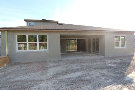 New construction Single-Family house 20243 Oriana Loop, Land O' Lakes, FL 34638 Corina  III Bonus- photo 64 64