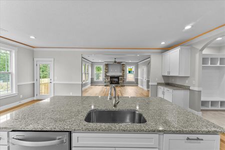 New construction Single-Family house 240 Hart Cut Rd, Slater-Marietta, SC 29661 plan Emilia Elite - image 10