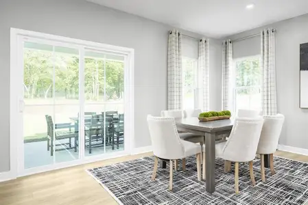 New construction Single-Family house 5019 Pineapple Lily Dr, Charlotte, NC 28216 - image 6