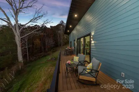 New construction Single-Family house 28 Trinity Hills Dr, Weaverville, NC 28787 - image