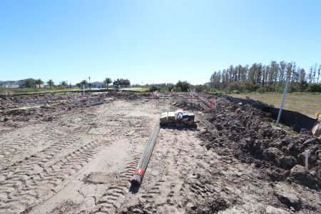 New construction Single-Family house 31119 Hayman Loop, Wesley Chapel, FL 33545 Corina  III- photo 3 3