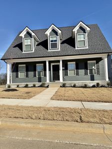 New construction Single-Family house 525 Windflower Pass, Antioch, TN 37013 - image