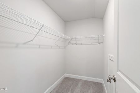 New construction Single-Family house 111 Mohawk Dr, Louisburg, NC 27549 - image 17