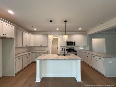 New construction Single-Family house 509 Autumn Leaf Ct, Lumberton, NC 28358 - image