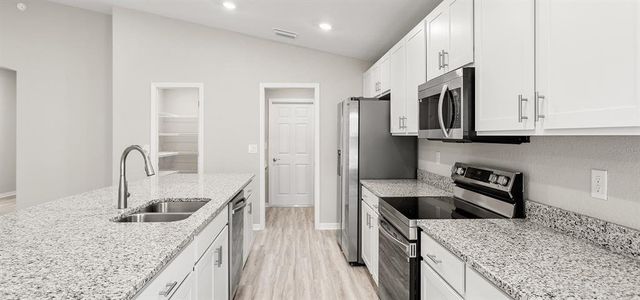 New construction Single-Family house 12959 Se 55Th Ave, Belleview, FL 34420 plan Raychel - image 7