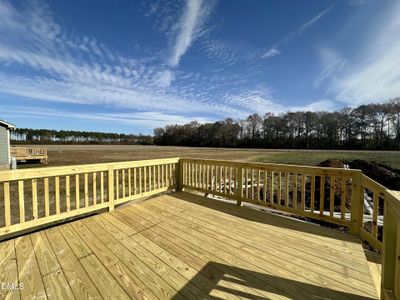 New construction Single-Family house 1448 Union Grove Church Rd, Fremont, NC 27830 - image