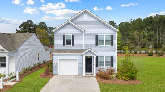 New construction Single-Family house 721 Butterfly Ginger St, Moncks Corner, SC 29461 - image