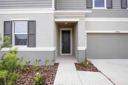 New construction Single-Family house 37488 Williamette Way, Zephyrhills, FL 33540 null- photo 25 25