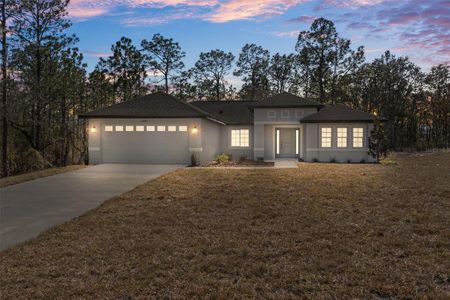 New construction Single-Family house 13088 Velvet Scoter Ave, Brooksville, FL 34614 - image