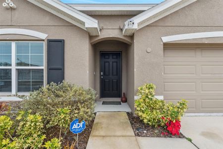 New construction Single-Family house 2812 Gumbo Limbo Dr, Wimauma, FL 33598 null- photo 8 8