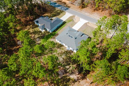 New construction Single-Family house 6732 Sw 132Nd St, Ocala, FL 34473 null- photo 34 34