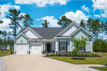 New construction Single-Family house 393 Tupelo Lake Dr, Summerville, SC 29486 null- photo 0