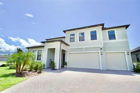 New construction Single-Family house 22344 Nebula Wy, Land O' Lakes, FL 34637 - image