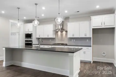 New construction Single-Family house 275 Luray Wy, Unit 447, Rock Hill, SC 29730 plan Genessee - image 6