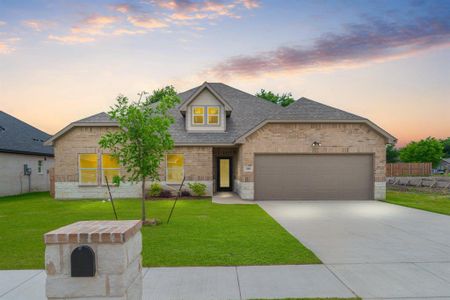 New construction Single-Family house 1008 Andrea Michele Lane, Glenn Heights, TX 75154 - photo 0