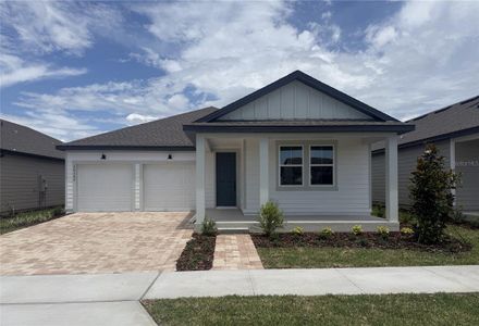 New construction Single-Family house 30157 Misty Pines Rd, Mount Dora, FL 32757 - image