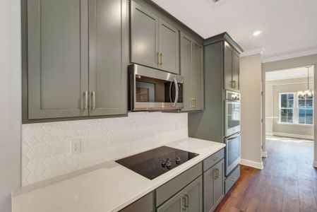 New construction Single-Family house 51 Hanover Pl, Richmond Hill, GA 31324 plan Hilton - image 16