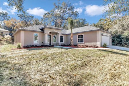 New construction Single-Family house 19610 Sw 93Rd Pl, Dunnellon, FL 34432 null- photo 37 37