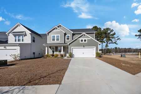 New construction Single-Family house 153 Winding Grove Ln, Moncks Corner, SC 29461 - image
