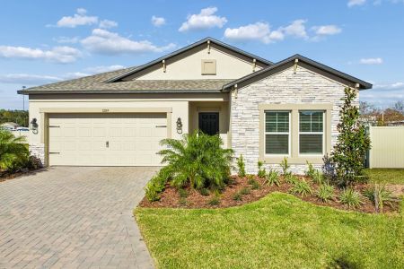 New construction Single-Family house 12189 Farrier Dr, Dade City, FL 33525 plan Marque - image