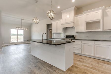 New construction Single-Family house 200 Sarra Ln, Poolville, TX 76487 null- photo 45 45