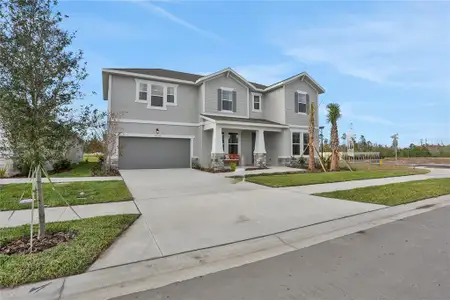 New construction Single-Family house 17453 Valleywood Pkwy, Land O' Lakes, FL 34638 plan Ellington - image