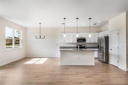 Grand Isle by Summerpark Homes in Eustis - image 8