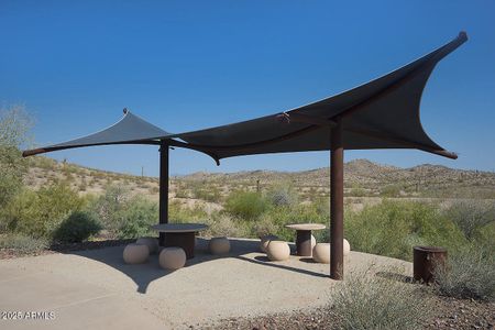New construction Single-Family house 11181 S Wilson Ln, Goodyear, AZ 85338 - image