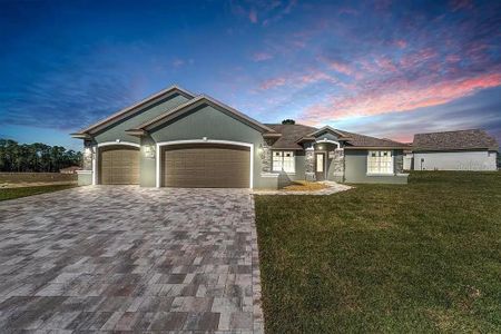 New construction Single-Family house 17887 Sw 72Nd Street Rd, Dunnellon, FL 34432 - image