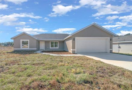 New construction Single-Family house 281 Locust Pass, Ocala, FL 34472 - photo 0