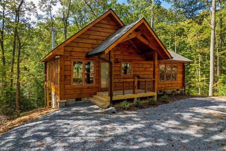 New construction Single-Family house 100 Crystal Oliver Ln, Blue Ridge, GA 30513 - image