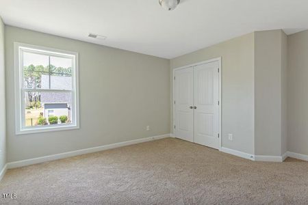 New construction Single-Family house 246 Pretty Run Branch Ln, Wendell, NC 27591 Brunswick- photo 21 21