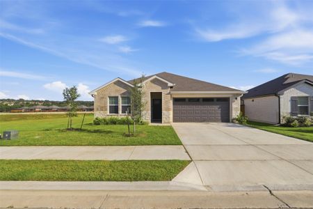 New construction Single-Family house 109 Bruin Paw Dr, Georgetown, TX 78628 - image