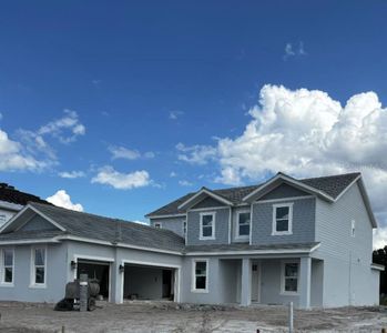 New construction Single-Family house 16227 Alpha Grove Pl, Odessa, FL 33556 Sand Key- photo 20 20