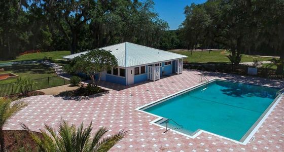 New construction Single-Family house 19610 Sw 93Rd Pl, Dunnellon, FL 34432 null- photo 62 62