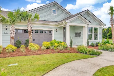 New construction Single-Family house 448 Walleye Blvd, Bluffton, SC 29909 plan Ellenton - image