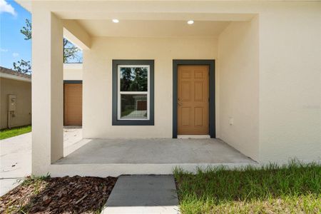 New construction Single-Family house 5009 Finders Ct, Tampa, FL 33617 - image