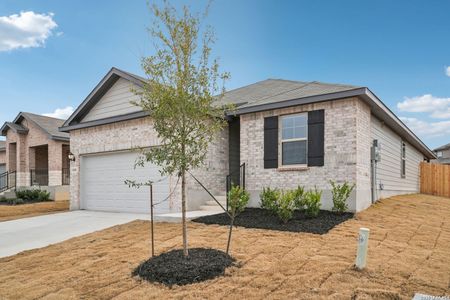 New construction Single-Family house 10208 King Robert, San Antonio, TX 78239 plan The Callaghan (830) - image