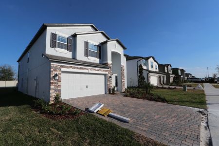 New construction Single-Family house 12176 Hilltop Farms Dr, Dade City, FL 33525 Malibu- photo 160 160