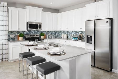New construction Single-Family house 2371 Natoma Blvd, Mount Dora, FL 32757 plan Daytona - image 4