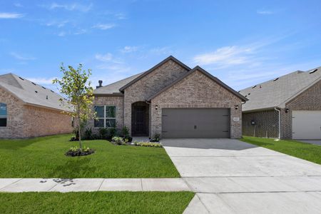 New construction Single-Family house 6221 Delacroix Dr, Royse City, TX 75189 plan Newport - image