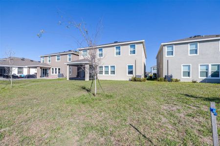 New construction Single-Family house 9119 Forge Breeze Loop, Wesley Chapel, FL 33545 null- photo 60 60