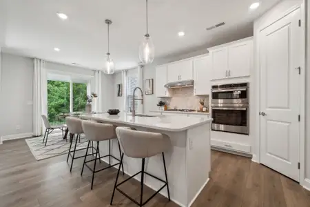 New construction Single-Family house 3010 River Falls Dr, Tega Cay, SC 29708 plan Elizabeth - image 3