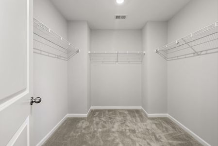 New construction Single-Family house 360 Palfrey Dr, Ridgeville, SC 29472 plan Oxford - image 10