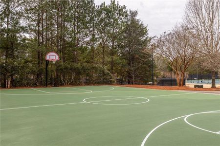 Crescent Pointe at Great Sky by David Weekley Homes in Canton - photo 5 5