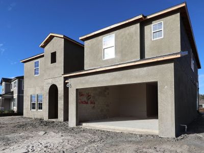 New construction Single-Family house 5909 Riverston Ave, Wesley Chapel, FL 33545 plan Palazzo - image