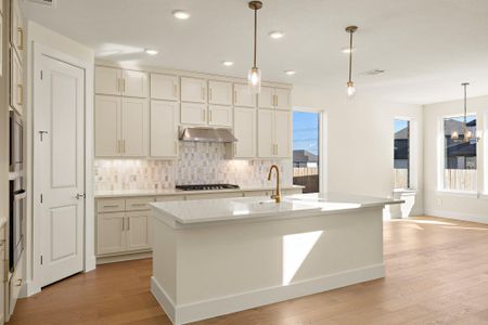 New construction Single-Family house 19517 Jesse Junction Dr, Pflugerville, TX 78660 plan Travis - image 14