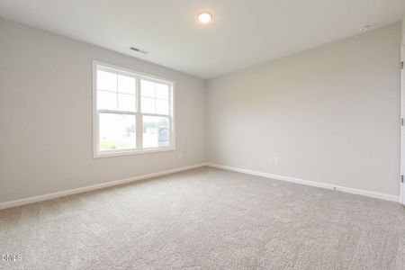 New construction Single-Family house 101 Hill Valley Dr, La Grange, NC 28551 - image 18