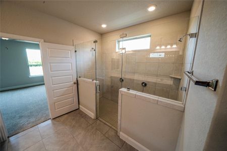 New construction Single-Family house 312 Proctor Grv, Cibolo, TX 78108 Weimer- photo 20 20