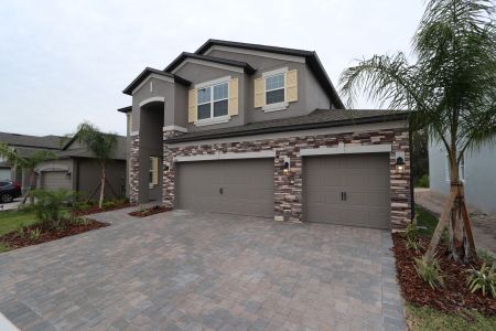 New construction Single-Family house 5046 Bromeliad Ave, Wimauma, FL 33598 Mira Lago- photo 48 48